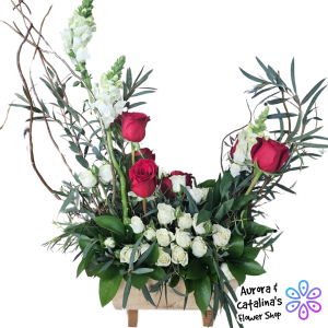 Luna cuarto menguante