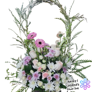 Canasta sweet dreams