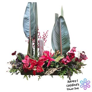 Feliz navidad amigos