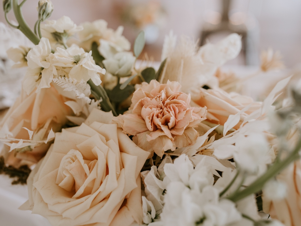 Primera comunion (2)